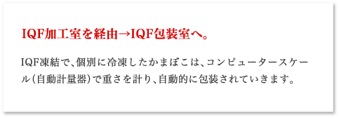 IQF加工室を経由→IQF包装室へ。 IQF凍結で、個別に冷凍したかまぼこは、コンピュータースケール（自動計量器）で重さを計り、自動的に包装されていきます。